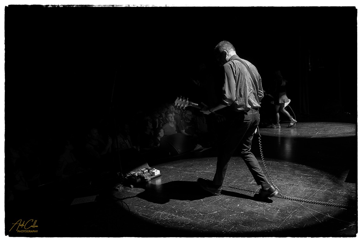 Ted Leo and the Pharmacists